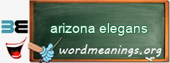 WordMeaning blackboard for arizona elegans